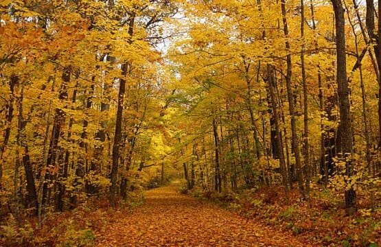 itasca trail upscaled